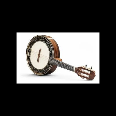 Instrumento musical tipo banjo e guitarra com corpo arredondado em madeira e pele branca