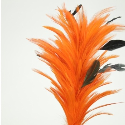 Pena decorativa laranja com detalhes pretos em fundo branco