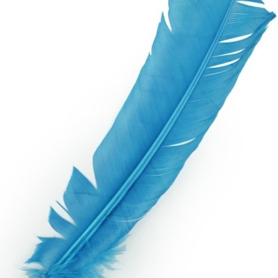 Pena azul grande com textura e fundo branco