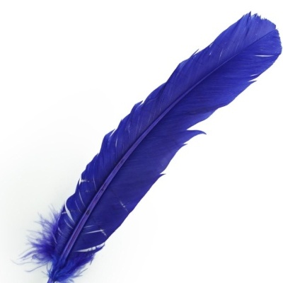 Pena azul vibrante artificial em fundo branco