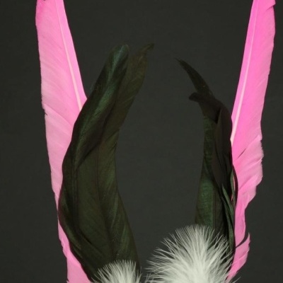 Conjunto de penas coloridas contra fundo negro