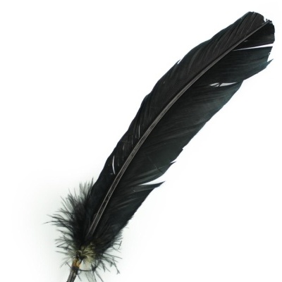 Pluma preta com base cinza claro em fundo branco