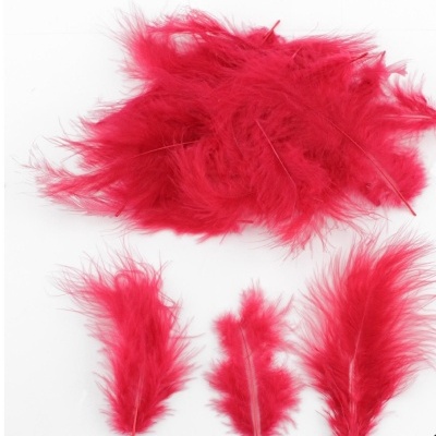 Penas vermelhas decorativas sobre fundo branco