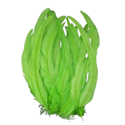 Penas naturais verdes sobre fundo preto
