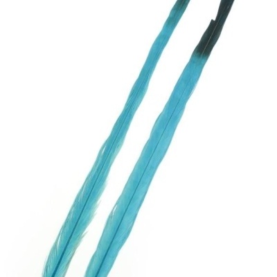 Duas penas longas azuis que escurecem nas pontas sobre fundo branco