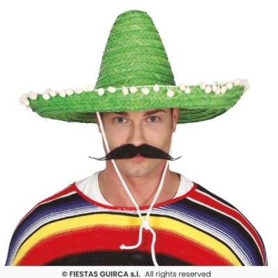 Pessoa com chapéu verde, poncho colorido e bigode postiço