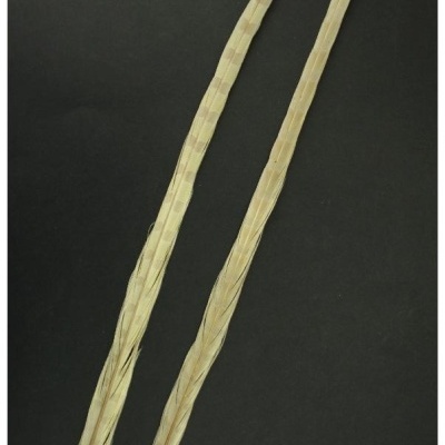 Duas penas compridas bege claro com padrão castanho sobre fundo preto