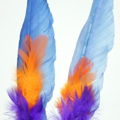 Duas penas coloridas em azul, laranja e roxo sobre fundo branco