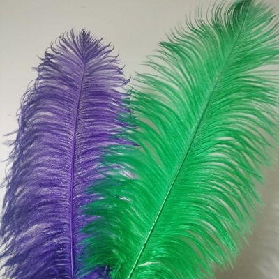Duas penas grandes, roxa e verde, seguradas à mão contra fundo branco
