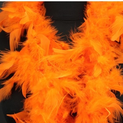 Pluma laranja vibrante e fofa contra fundo preto