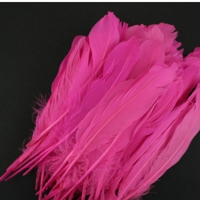 Penas cor-de-rosa vivas num fundo preto