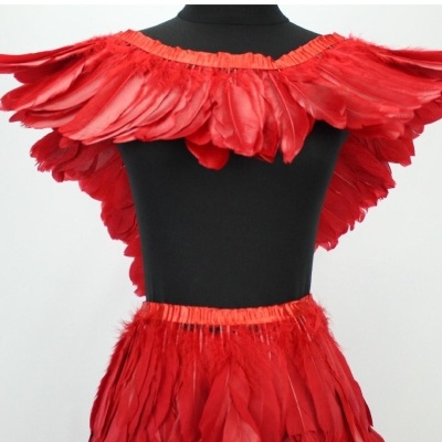 Vestido preto com penas vermelhas na gola e cintura