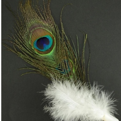 Pena decorativa colorida com base branca