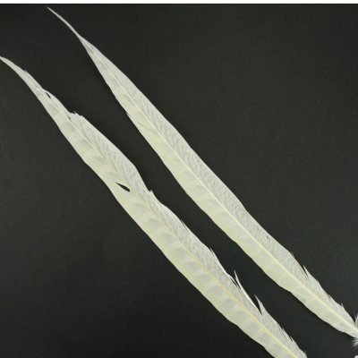 Duas penas longas brancas em fundo preto