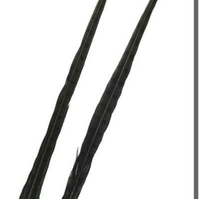 Duas penas pretas longas e finas sobre fundo branco