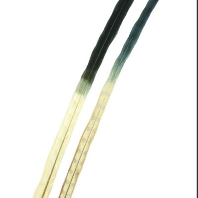 Dois apêndices de penas longas com gradiente de cor do preto ao amarelo claro