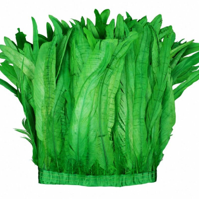 franja de penas verdes com base de tecido