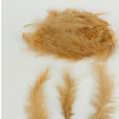 Penas decorativas castanhas claras sobre fundo branco