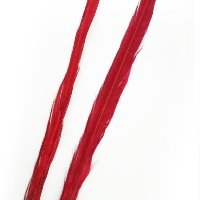 Dois longos ramos de penas vermelhas sobre fundo branco