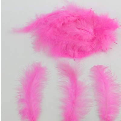 Penas cor-de-rosa de vários tamanhos sobre fundo branco