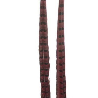 Duas penas longas vermelhas e pretas com padrão às riscas