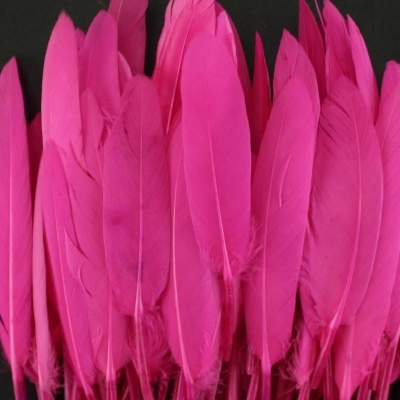 Penas cor-de-rosa vibrantes alinhadas sobre fundo preto