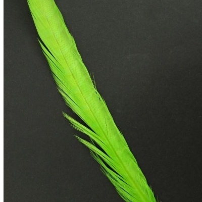 Pena verde longa sobre fundo preto