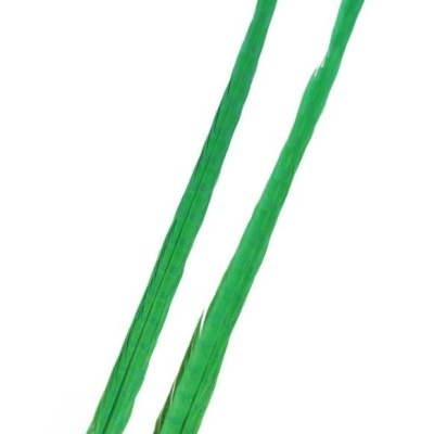 Duas penas longas verdes sobre fundo branco