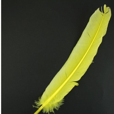 Pena amarela grande sobre fundo preto