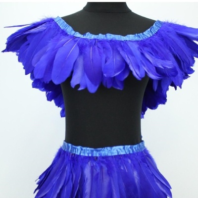 Conjunto fantasia com penas azuis em manequim preto