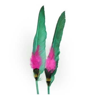 Duas penas verdes com detalhes rosa sobre fundo branco