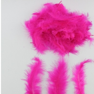 Penas cor de rosa sobre fundo branco