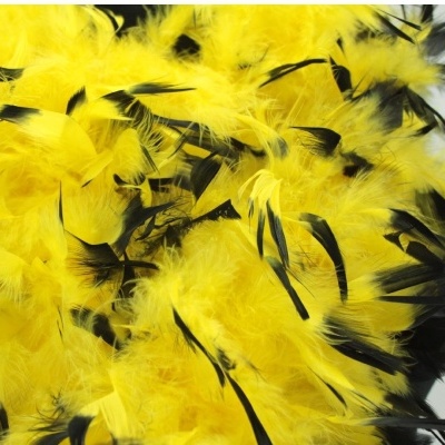 Close-up de plumas amarelas com pontas pretas