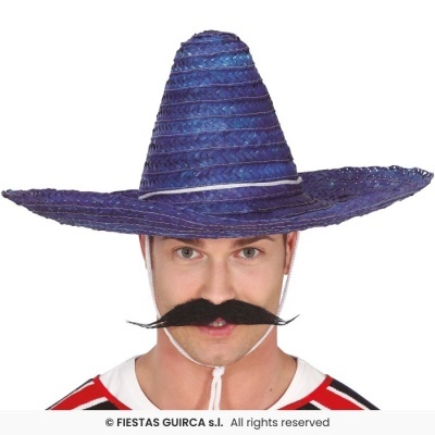 Homem a usar chapéu tipo sombrero azul e bigode falso preto