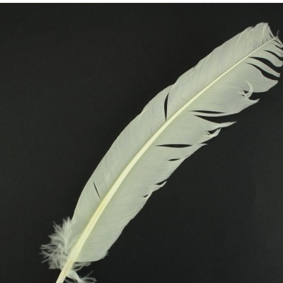 Pena branca sobre fundo preto