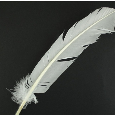 Pena branca sobre fundo preto