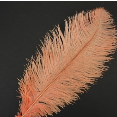 Pena salmão claro em fundo preto