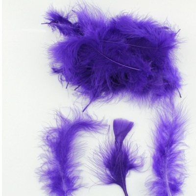 Penas decorativas roxas sobre fundo branco