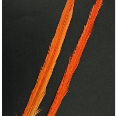 Duas penas laranja compridas sobre fundo preto