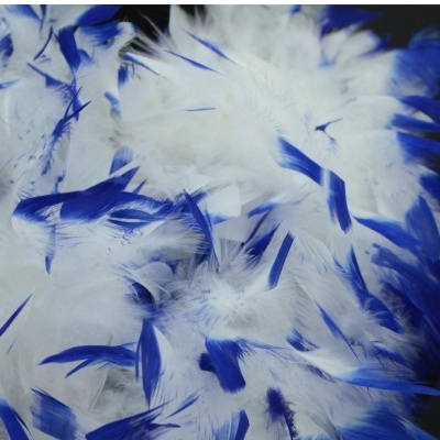 Penas brancas com pontas azuis sobre fundo escuro