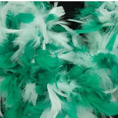 Penas verdes e brancas sobre fundo escuro