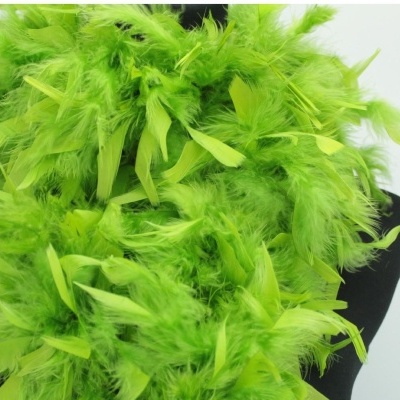 Pluma decorativa verde vibrante sobre fundo preto