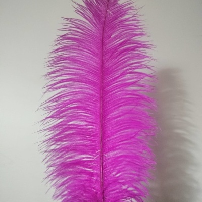 pena rosa vibrante sobre fundo branco