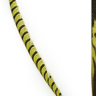 Pena longa amarela e preta com listras