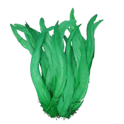 Penas verdes longas sobre fundo preto