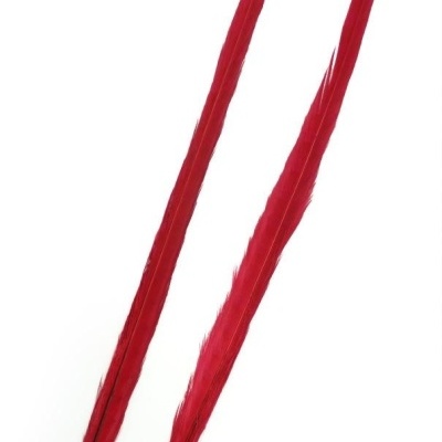 Duas penas longas vermelhas sobre fundo branco