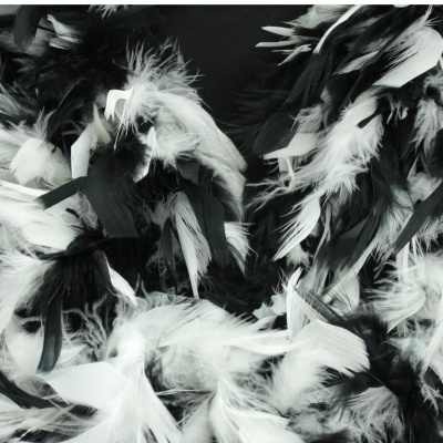 Pluma de fantasia preto e branco com textura macia