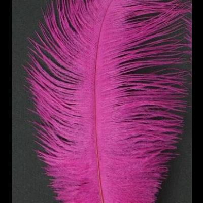 Pena decorativa rosa vibrante sobre fundo preto