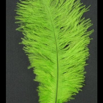 Pena decorativa verde com filamentos longos em fundo preto