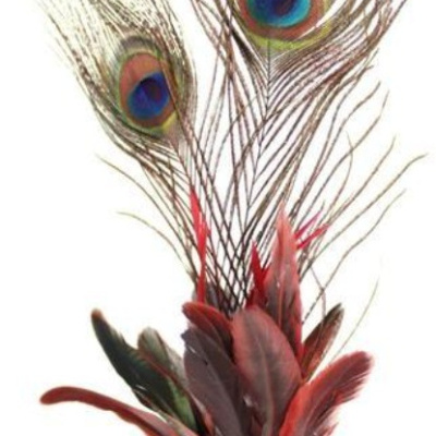 Penas decorativas coloridas com penas de pavão e vermelhas